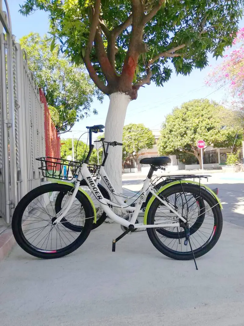 Dos bicicletas recostadas junto a un árbol de tronco blanco en una calle soleada del barrio