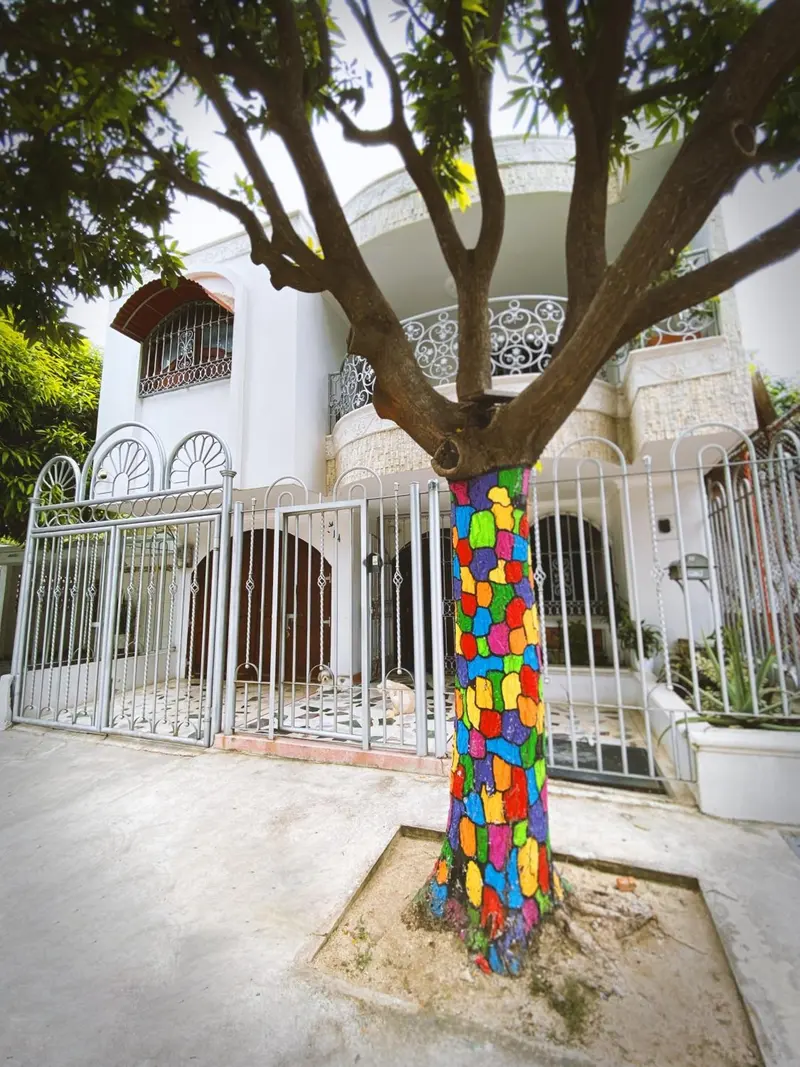 El árbol de la entrada, con el tronco pintado a parches de colores, frente a la casa blanca y su reja